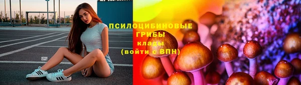 гидропоника Инсар