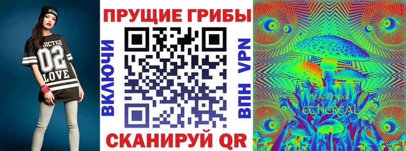 Галлюциногенные грибы Psilocybe  Купить закладки  Кузнецк 